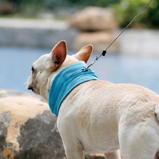 Summer French Bulldog Dog Cooling Neck Bandana