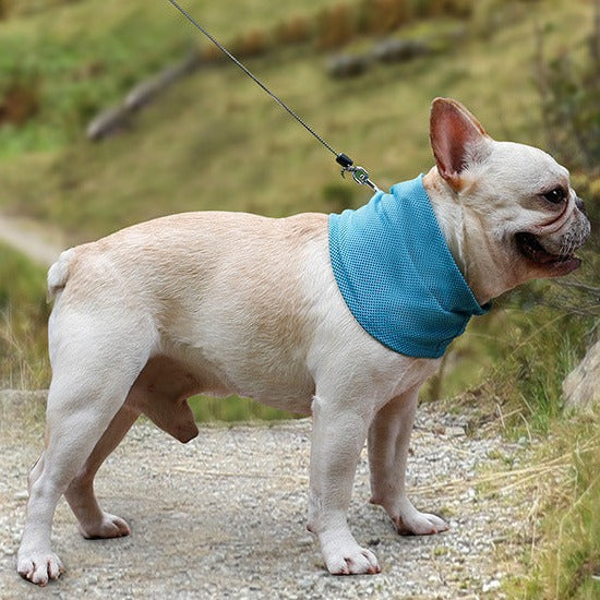 Summer French Bulldog Dog Cooling Neck Bandana