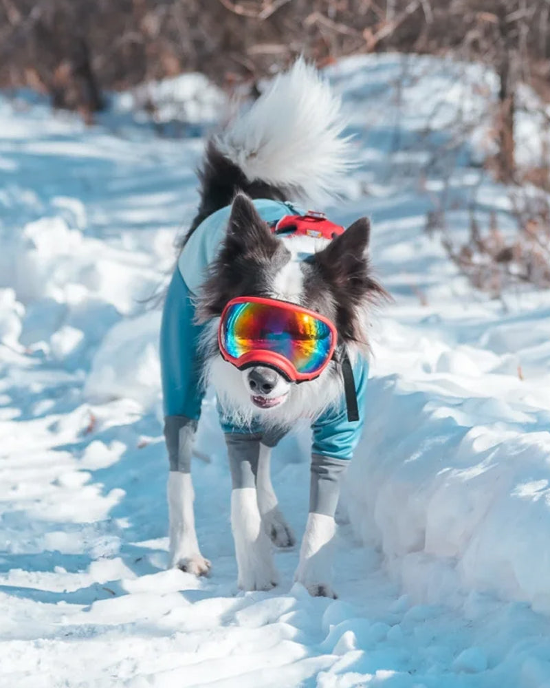 Pet Glasses Dog Sunglasses Red Patch Goggles