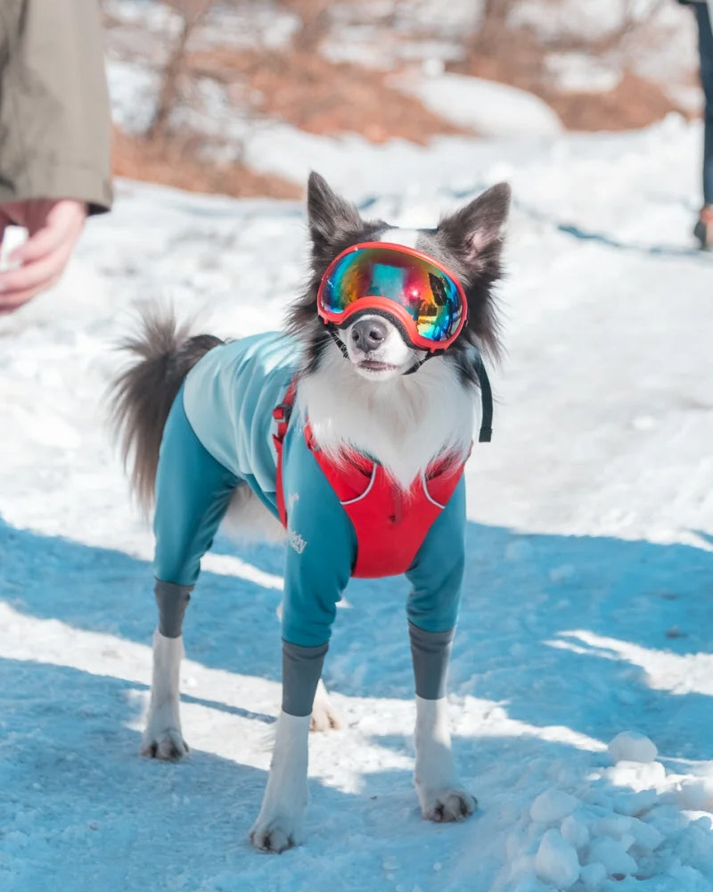 Pet Glasses Dog Sunglasses Red Patch Goggles