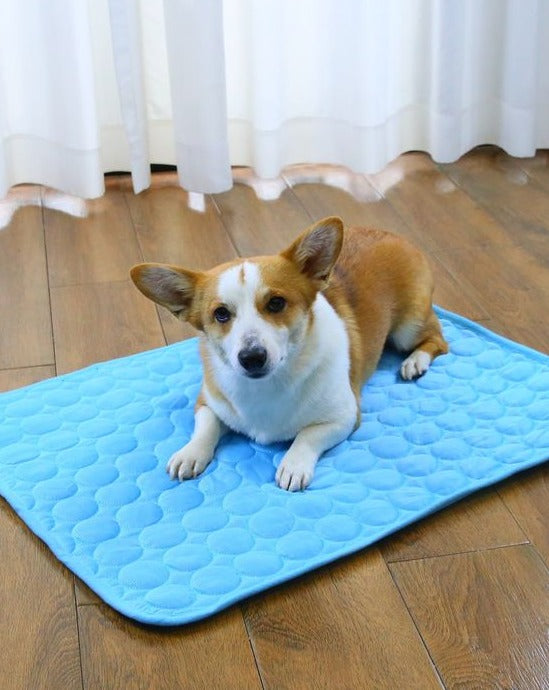 French Bulldog Ice Pad| Summer Dog Cat Pet Cooling Kennel