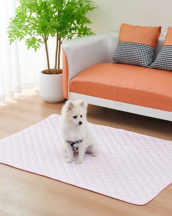 French Bulldog Ice Pad| Summer Dog Cat Pet Cooling Kennel