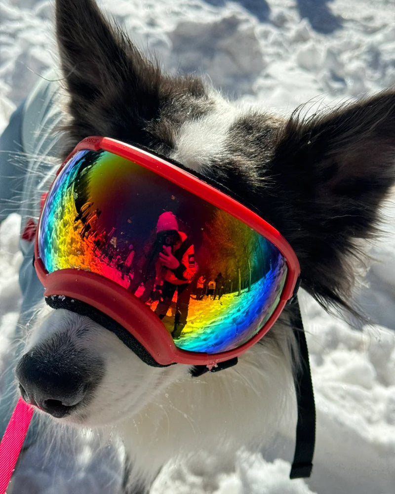 Pet Glasses Dog Sunglasses Red Patch Goggles