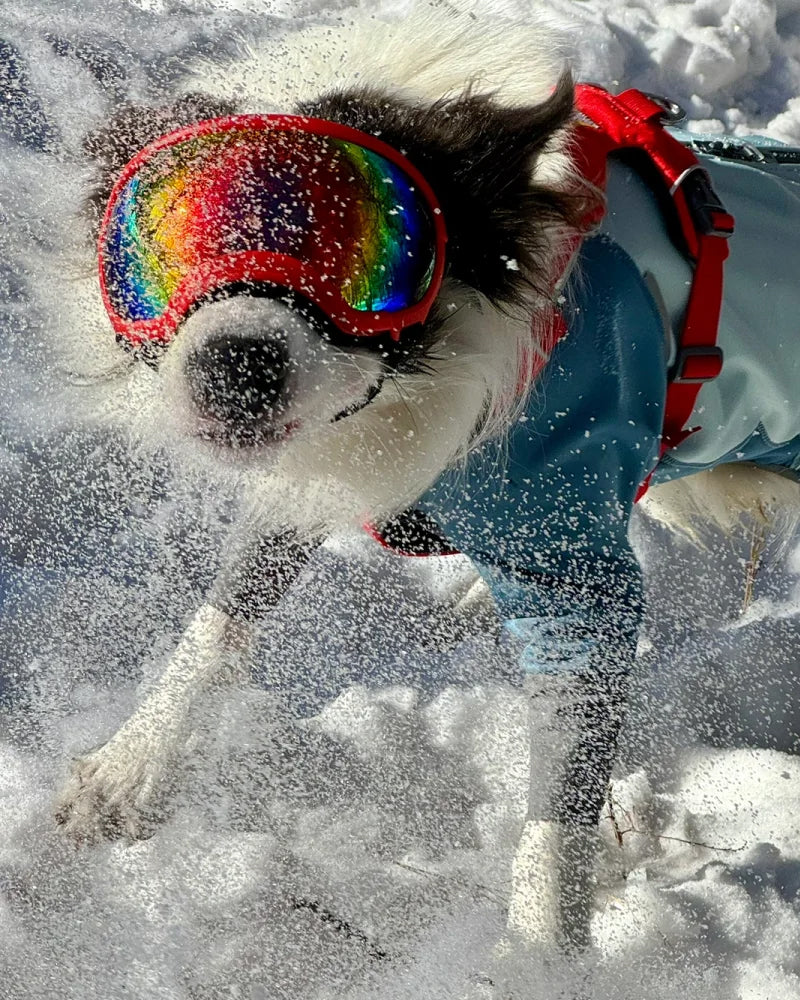 Pet Glasses Dog Sunglasses Red Patch Goggles