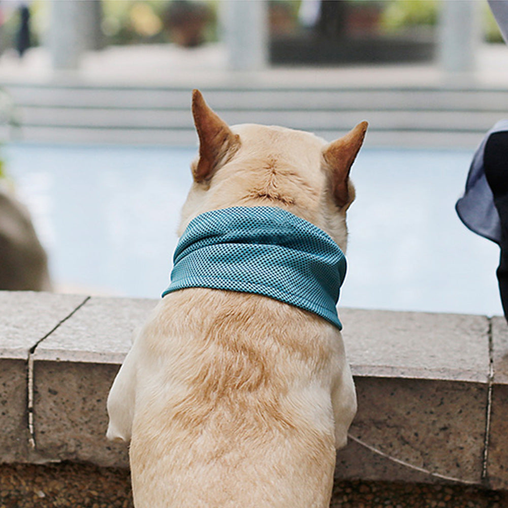 Summer French Bulldog Dog Cooling Neck Bandana