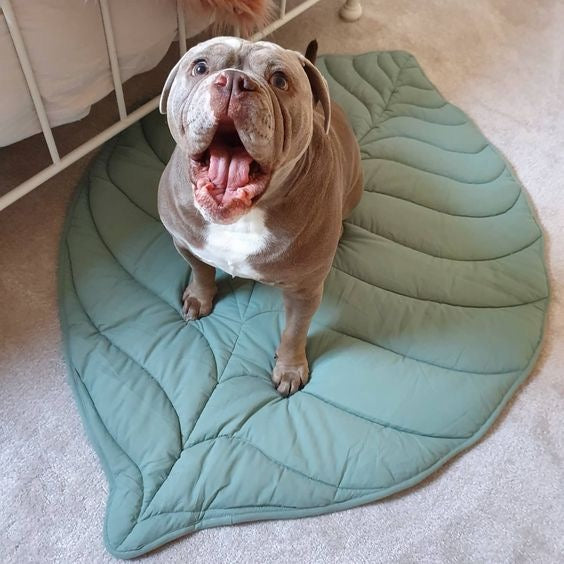 French Bulldog Leaf Shape Mats｜Pet Dog Kennel Cat Sleeping Mat