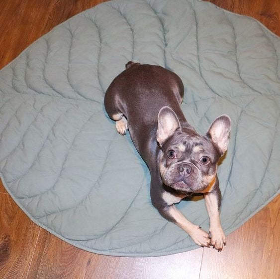 French Bulldog Leaf Shape Mats｜Pet Dog Kennel Cat Sleeping Mat